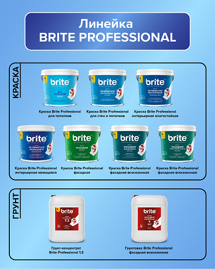Краска Brite® Professional фасадная матовая (колерованная)